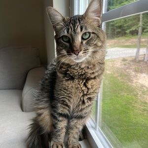 Meet your Posher, Alexandra